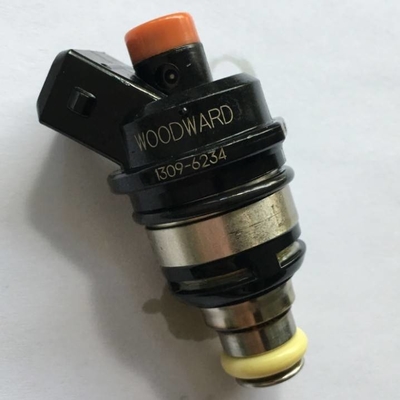 1309-6234 OH6 LNG Gas Common Rail Injector Valve Repair